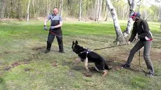 Xtra Oger Schloss (7 Monate alt)