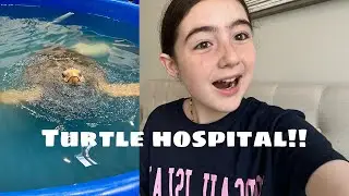 Visiting the TURTLE Hospital! 🐢Smith Fam