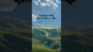 top 5 places to visit nagaland