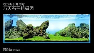 [ADAview] 180cm水槽レイアウト 万天石石組構図編