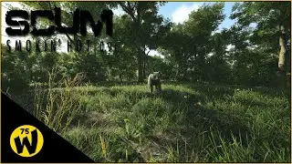 SCUM 0.9 - Thats A Bear!