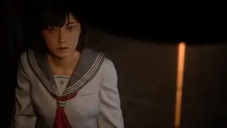 Silent Hill f | RX 9060 XT | Max Settings | FSR FrameGen | 1440p