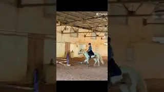 Fr#edit#horsegirl#equestrian#fyp#ponies#youtube