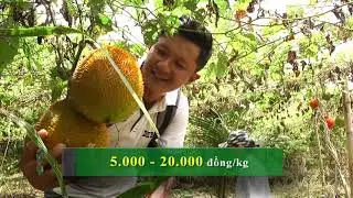 TP NONG DAN CHAM TOA DO 22 3