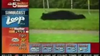Barely Today Trampoline Comparison