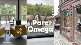 Is Parc Omega the TOP Choice for Family Vacations in Montebello Quebec?