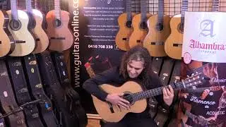 Alhambra Flamenco Guitar 5FP Cedar