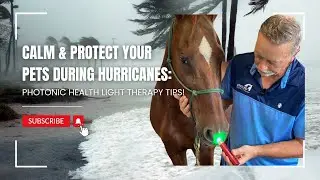 Calm & Protect Your Pets During Hurricanes: Photonic Health Light Therapy Tips!