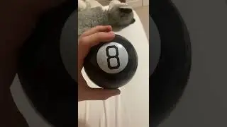 Let&rsquo;s see what The Magic 8 Ball says about Spyro 4 #spyro #8ball #magic8ball