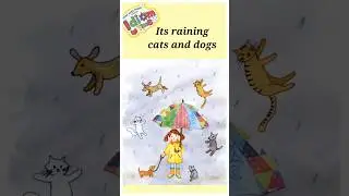 Idiom Time | It&rsquo;s Raining Cats and Dogs! 🐱🐶 | Fun English for Kids #shorts #englishfun #idiomtime