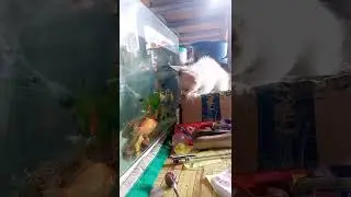 di mo mahuhuli yan baby kikay😅😅😂 | cfdc family vlogs