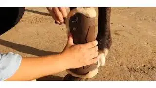 TACK YOUR HORSE - How to put on your horse boots