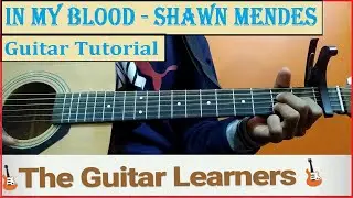 In My Blood - Shawn Mendes (Guitar Tutorial) |Easy Guitar Lesson| How to Play Chords| Fingerpicking