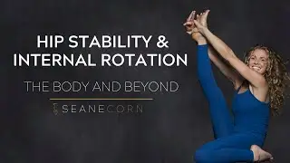 Vinyasa Flow for Hip Stability & Internal Rotation &ndash; Alignment, Strength & Stillness