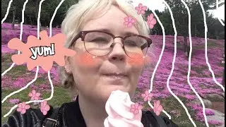Jet Program | Spring in Hokkaido  - Pink Moss and Tulips