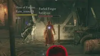 Now this Is Some Hitbox Po$n... Elden Ring Invasions, PvP