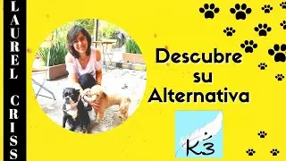 Charla C&oacute;smica con Cris, descubre su @AlternativaK3