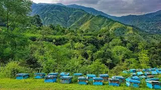 Mountains. Lilownai shangla   badar sar top