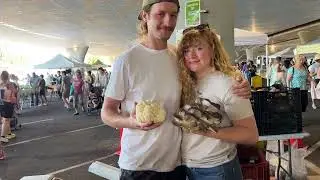 CDFA recognizes a small-scale family mushroom farm at the certified farmers market