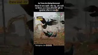 please share kar 😭😭 bijun anmils or bard,s ke liye 🤣🤣