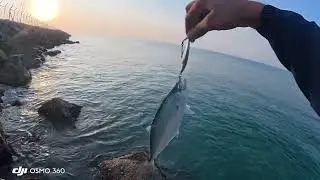 QUEEN FISH CATCH AND RESALE 🥰