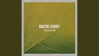 Amazing Journey