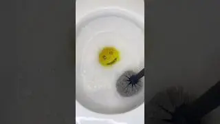 Toilet scrub with Pine-sol #cleaning #scrubdaddy #toiletcleaning #asmrcleaning #asmr #satisfying
