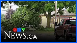 Downed trees and hydro outages reported as storm blows through southern Ontario