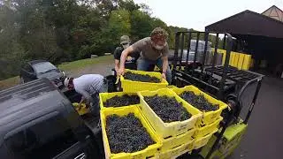 Crush, Press and Wait: A Red Wine Process