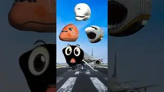 Tebak Gambar #pesawat #pesawatterbang #tebakgambar #airplane #funny #wrongheads