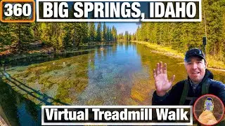 City Walks 360 - Big Springs in Island Park Virtual Nature Walk Along Henry's Fork River