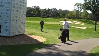 Snake Pit Unveiling at Innisbrook