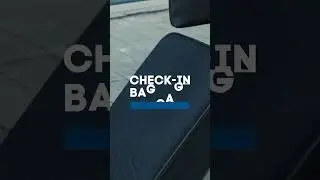 ANA Cabin and Check-in Baggage Free Allowance.