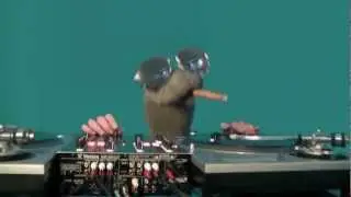 scratch sock hektopascal