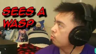 Heisuten and Lil Chinq Anime getting scared of a wasp