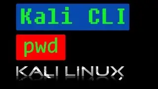 Kali Linux Cli - pwd