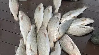 Silikon sahteyle  arka arkaya gelen granyoz avı￼
