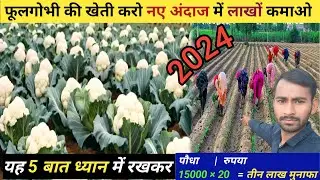 फूलगोभी की खेती कैसे करें | phoolgobhi ki kheti | Cauliflower cultivation in hindi