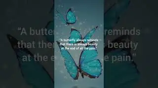 Butterfly Motivation 🦋 #Shorts #Butterfly #Quotes #Whatsappstatus #Pain #Life #motivationalquotes