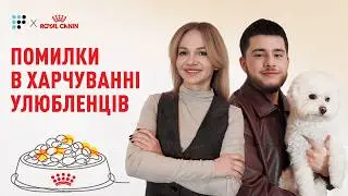 Раціон кота і собаки: основи здорового годування простими словами