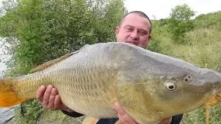 CARP FISHING