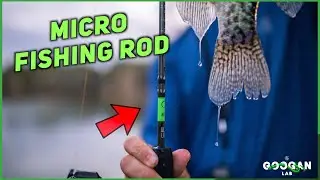 The Perfect MICRO Light Fishing ROD for MULTI SPECIES! ( Fishing Tips )