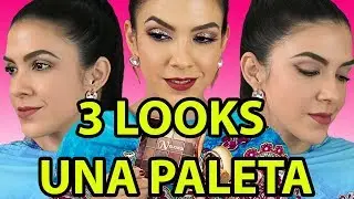 NUVIEW COSMETICS. 3 LOOKS CON UNA SOLA PALETA.