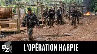L'opération Harpie