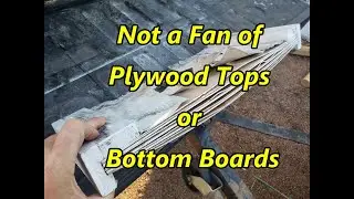 ✅ Not a Fan of Plywood Lids or Bottom Boards