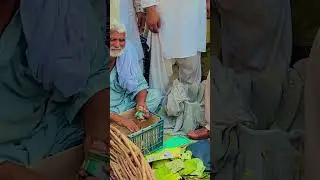 Pakistani Fruit Mandi