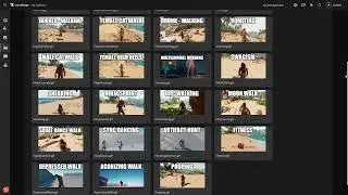IMMERSIVE HUNTERS AT GLANCE # 1
