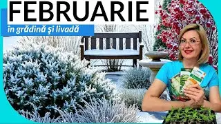 Lucrările principale în grădină și livadă în luna februarie.  Ce semănăm în februarie 