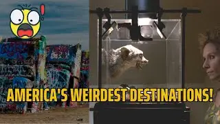 Uncover the Most Bizarre and Unusual Places to Visit in the USA