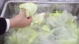 commercial vegetable fruit washing machine for restaurant